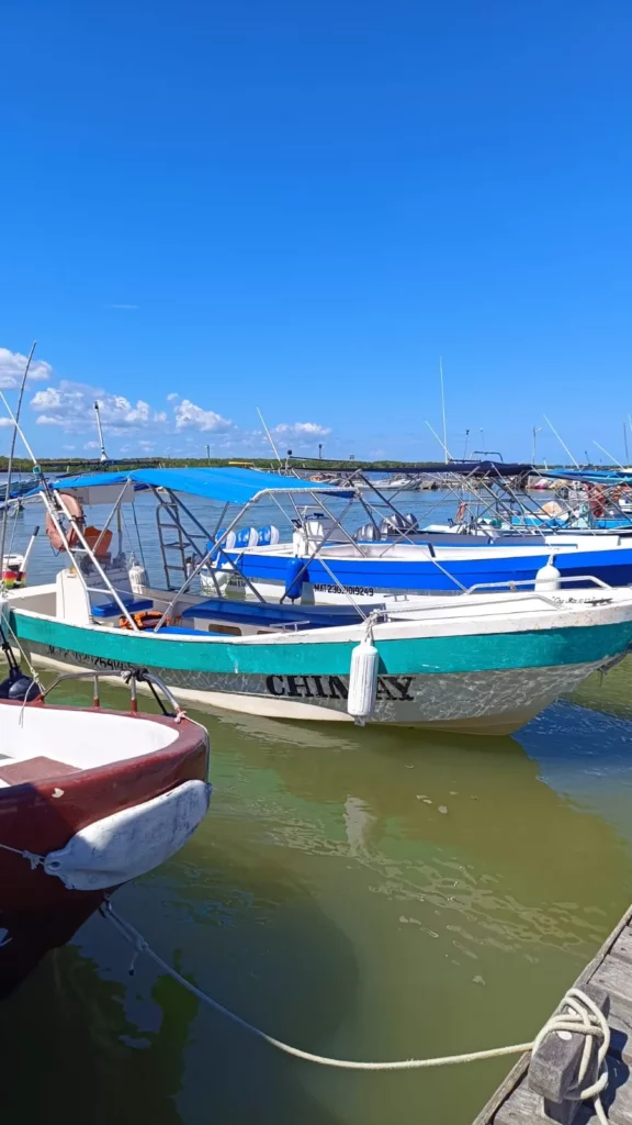 Private taxi boat to Holbox